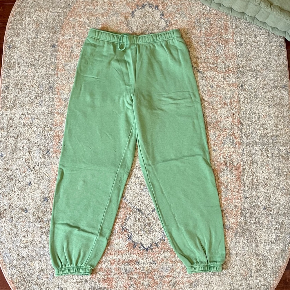 Aritzia TNA Cozy Fleece Mega Sweatpant